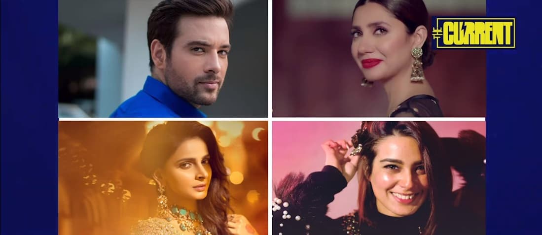 Pakistani celebrities who are dropouts