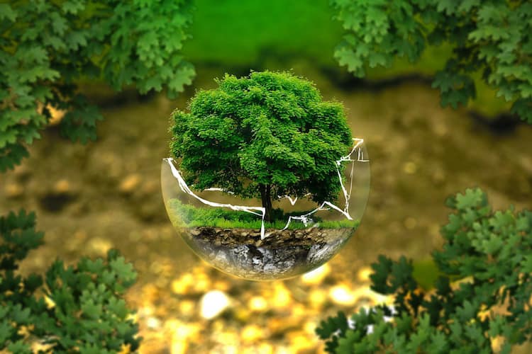 How to go green in Pakistan
