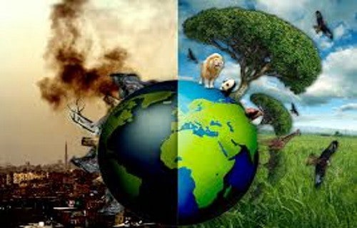 Four ways you can help your planet