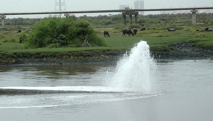 Karachi: World’s largest urban forest to be planted along Lyari river