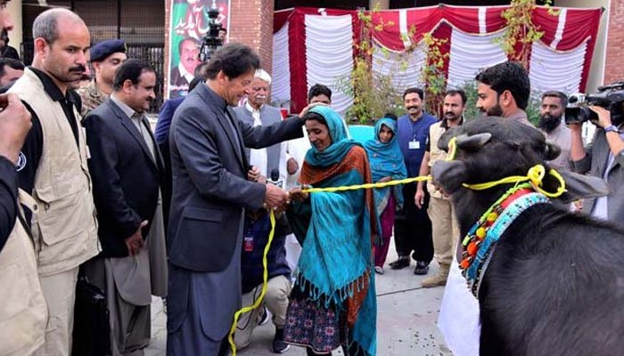 PM announces buffaloes, cows and goats for women