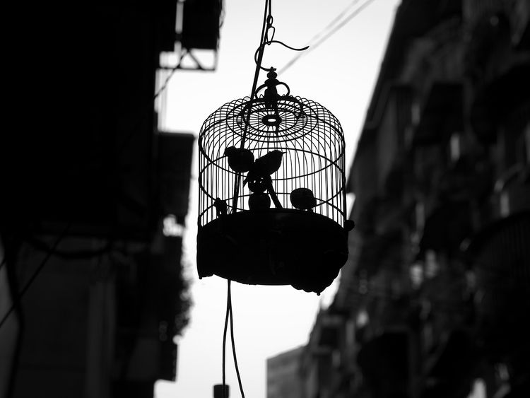 Caged children