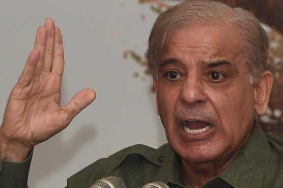 Shehbaz Sharif threatens to quit PML-N presidency