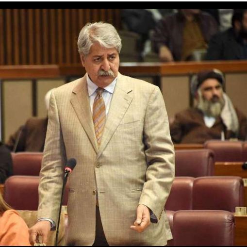 We are most affected by the ‘wife’ clause, says PPP’s Naveed Qamar