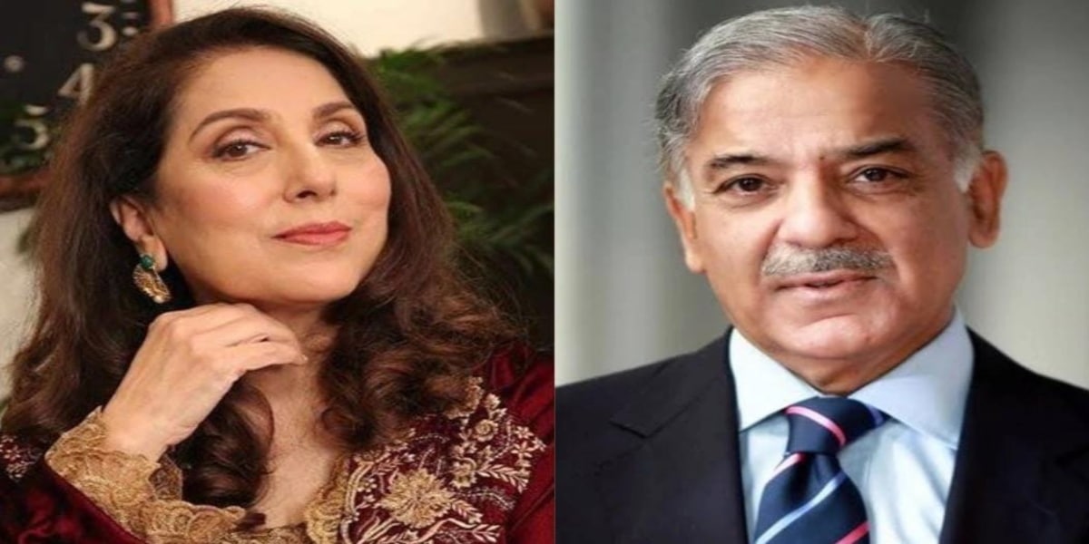‘Qarza le le ke economy sambhali bhi to kya sambhali’: Samina Peerzada slams government