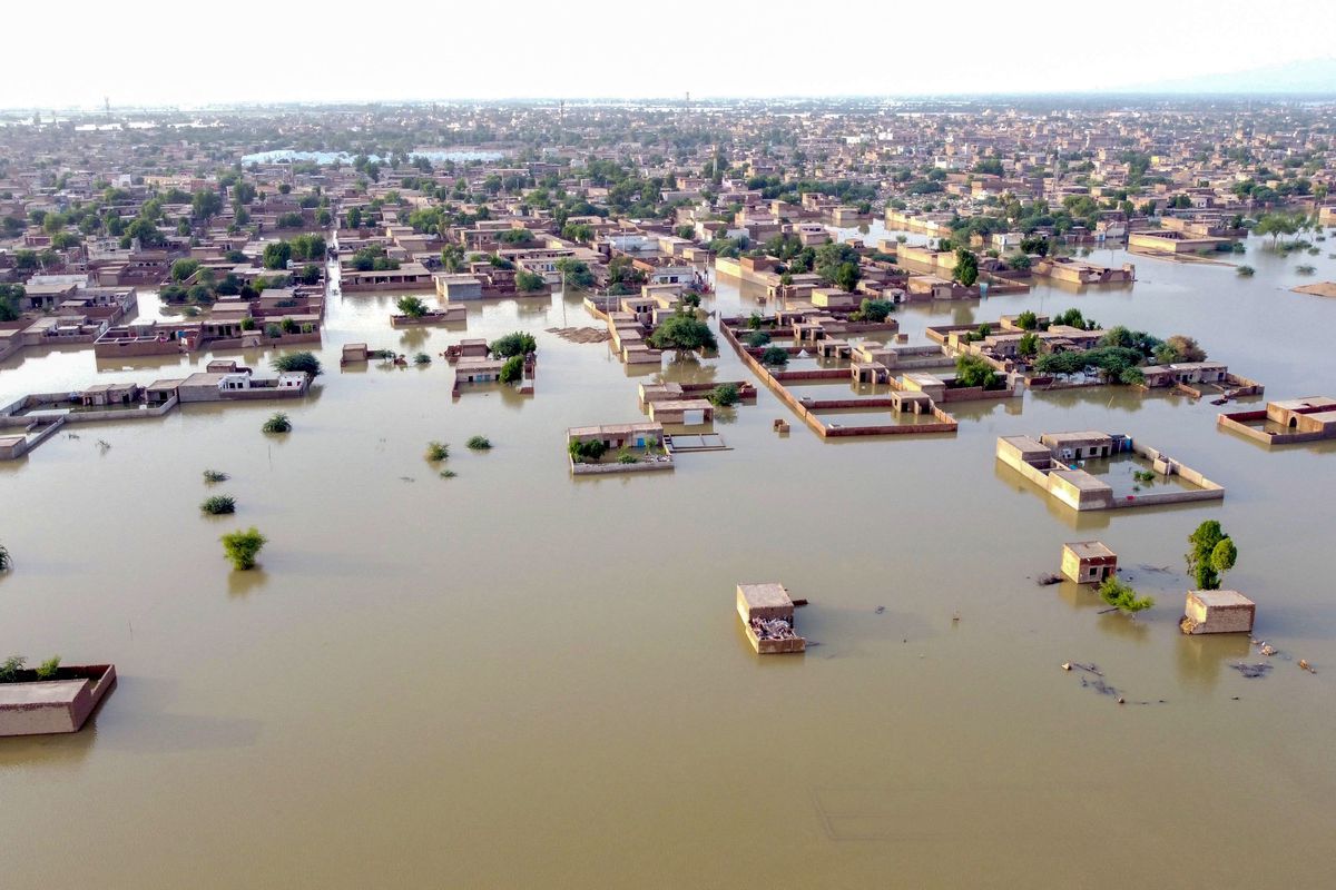 Govt to waive fees, give scholarships for university students in flood-affected areas