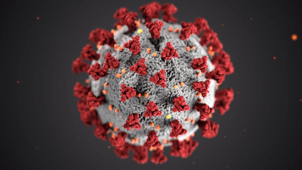 No new subvariant of Covid-19 spreading in Pakistan: NIH