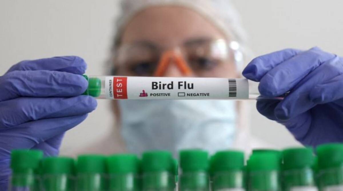 Rare type of bird flu causes first death in China