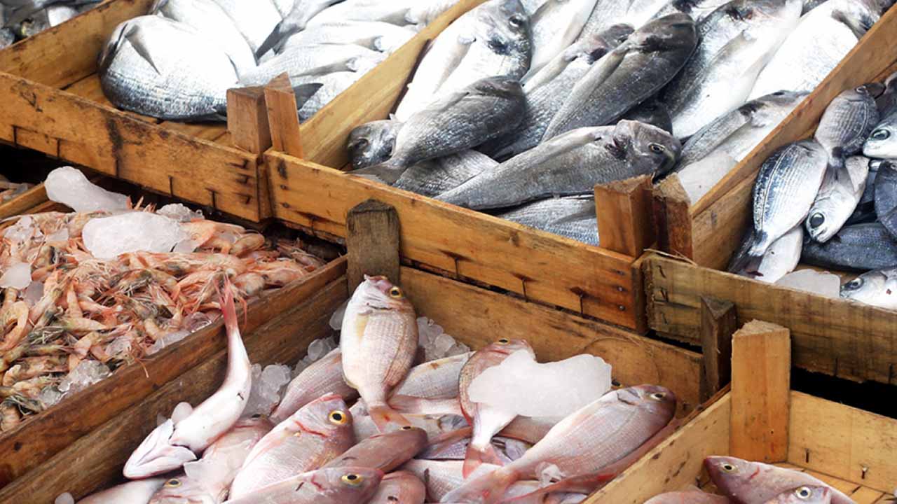 China lifts ban on seafood product imports from Pakistan