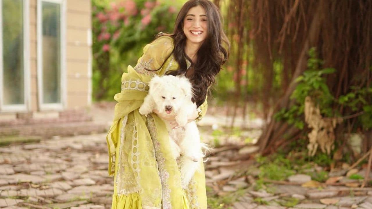 ‘Actors are not prostitutes’: Mariyam Nafees slams stalker sending vulgar messages