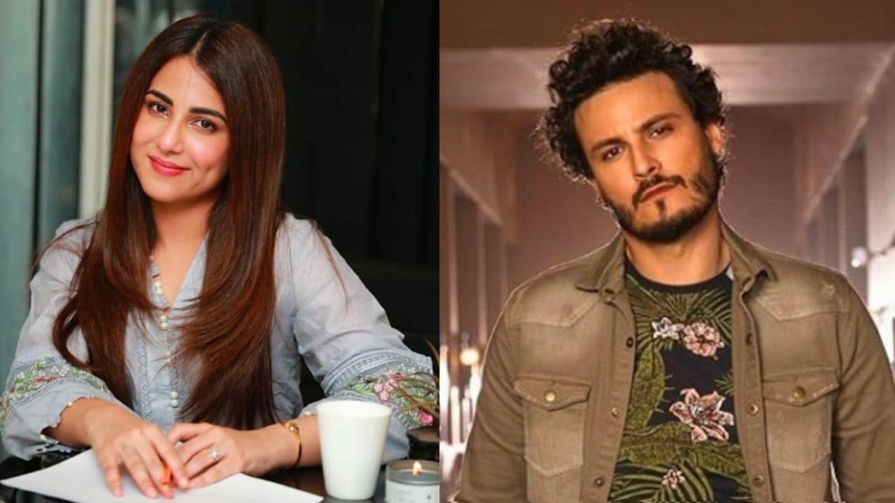 ‘Cry to my lord’: Pakistani celebrities shocked at Gaza hospital bombing