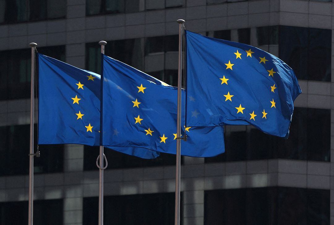 EU will not send full observation team for upcoming elections