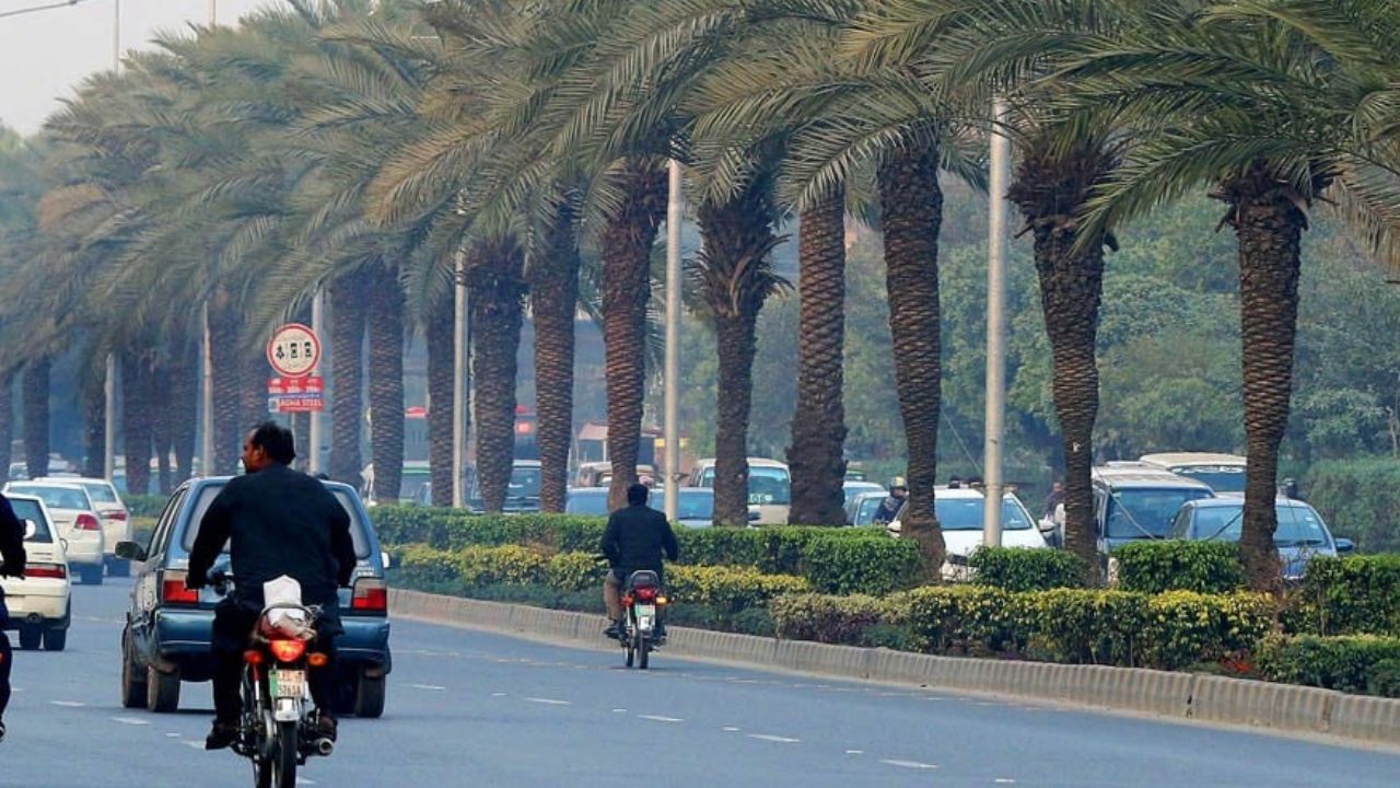 Lahore High Court stops planting of palm trees on highways and motorways