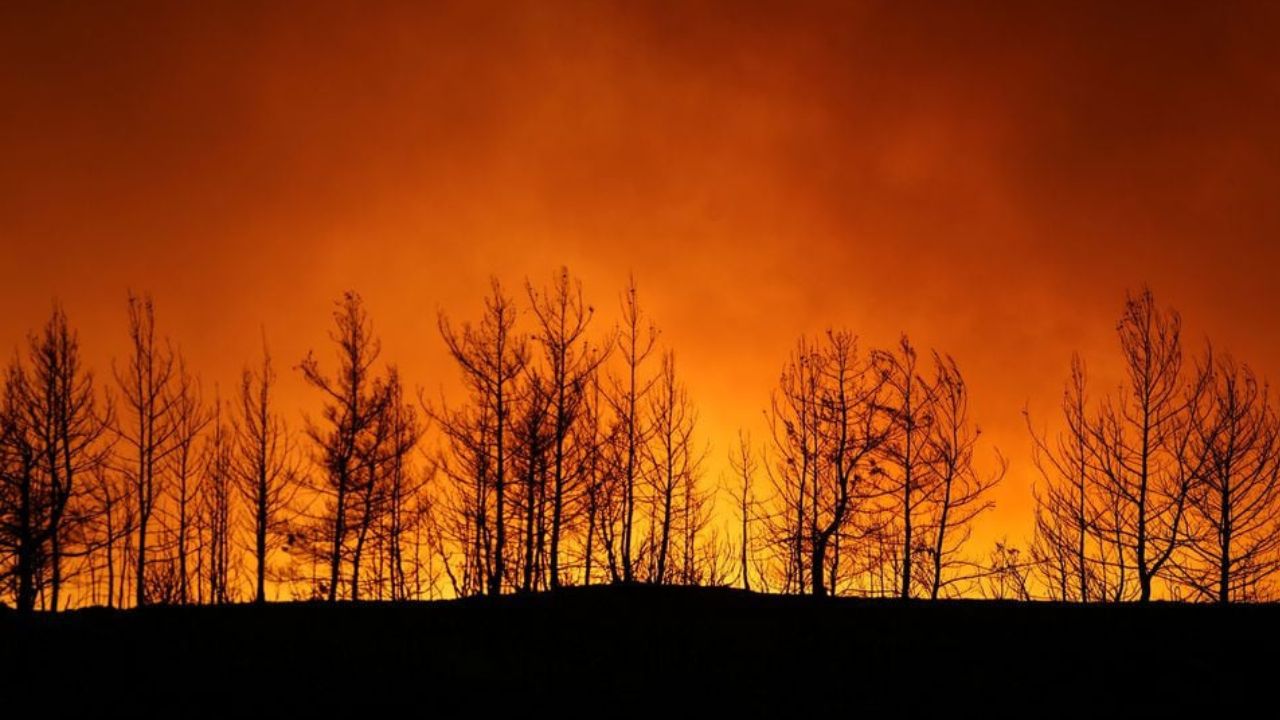 Zargat forests in Balochistan still on fire after three days