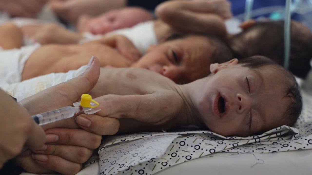 In Gaza, there are no more ‘normal-sized babies’: UN official