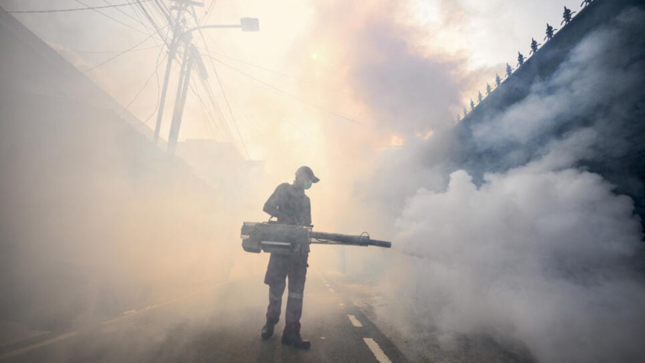 Hotter, drier, sicker? How a changing planet drives disease