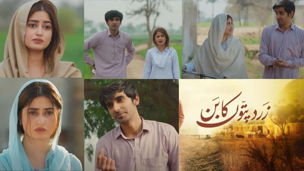 Sajal Aly, Sheikh Mubashir steal the show in latest episode of ‘Zard Patton Ka Bunn’