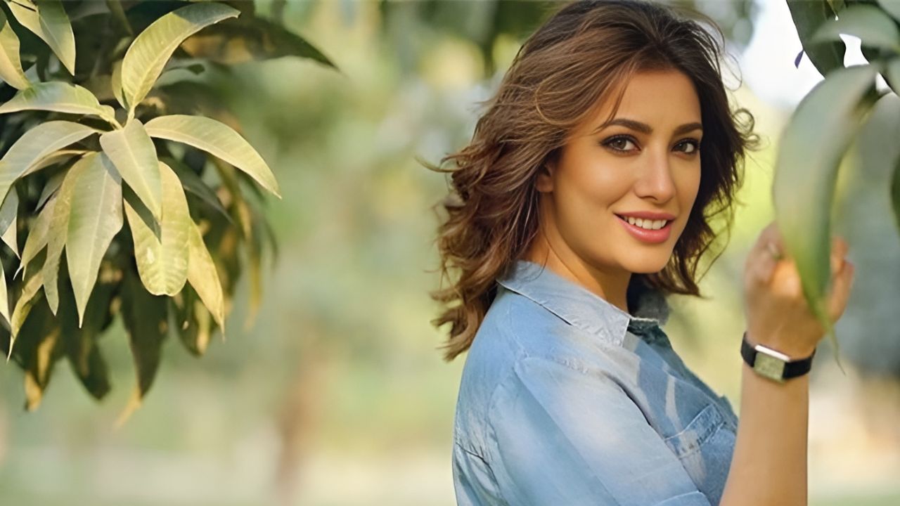 Why did Mehwish Hayat say no to Bollywood?