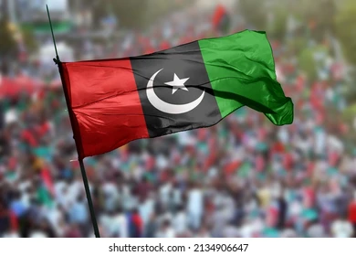 PPP promises to make efforts in withdrawal of Punjab defamation law