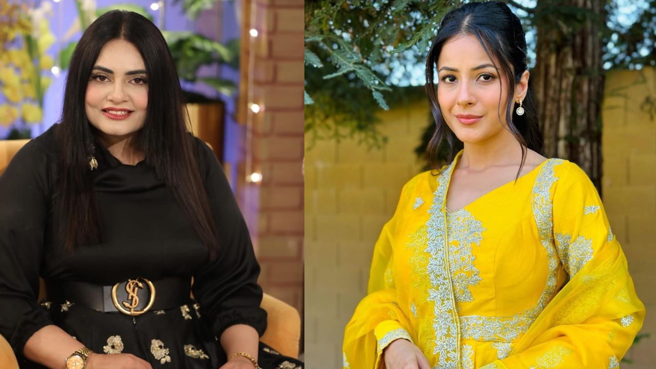 Can Emaan Fatima fill in Shehnaaz Gill’s shoes?