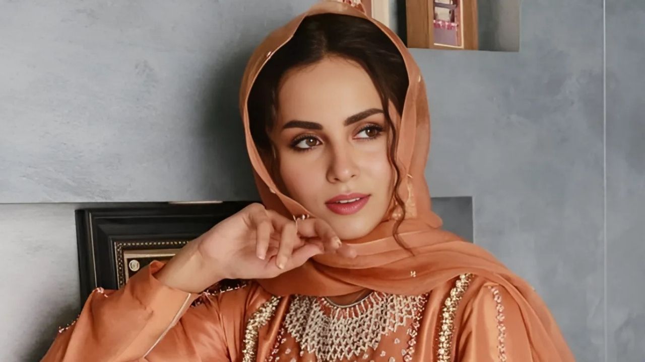 ‘I can’t even sleep at night’: Nimra Khan on social media trolling