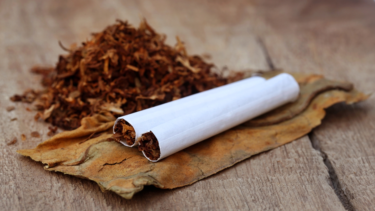 The smoking trap: How tobacco companies are burning Pakistani farmers