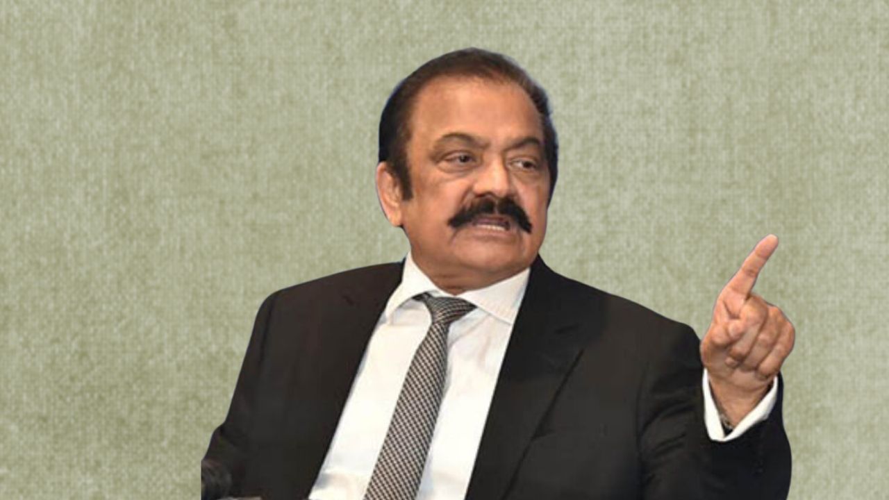 Looks like Imran Khan doesn’t want dialogue: Rana Sanaullah