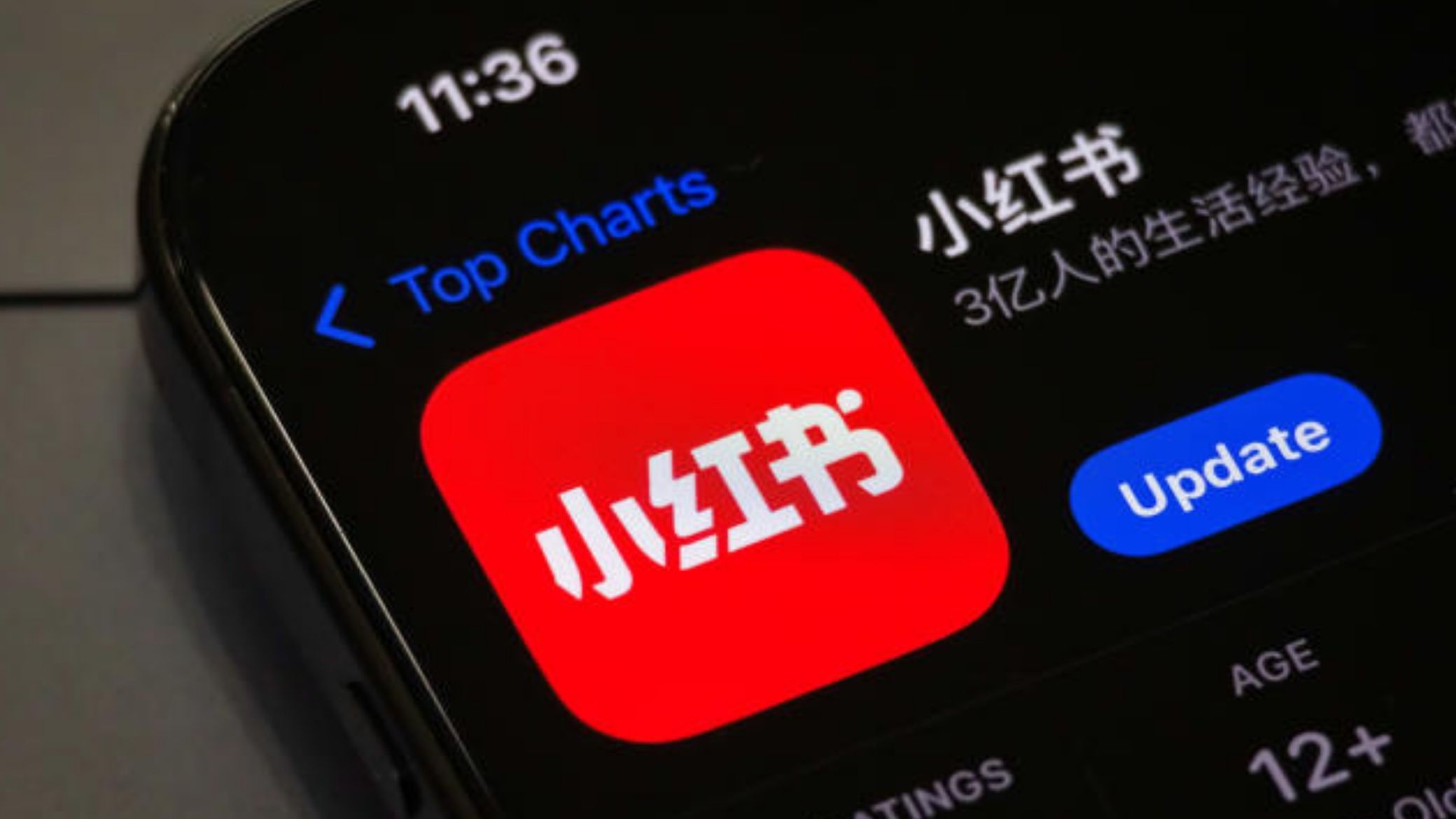 TikTok ban: Americans unlearn misconceptions about China as they throng RedNote app