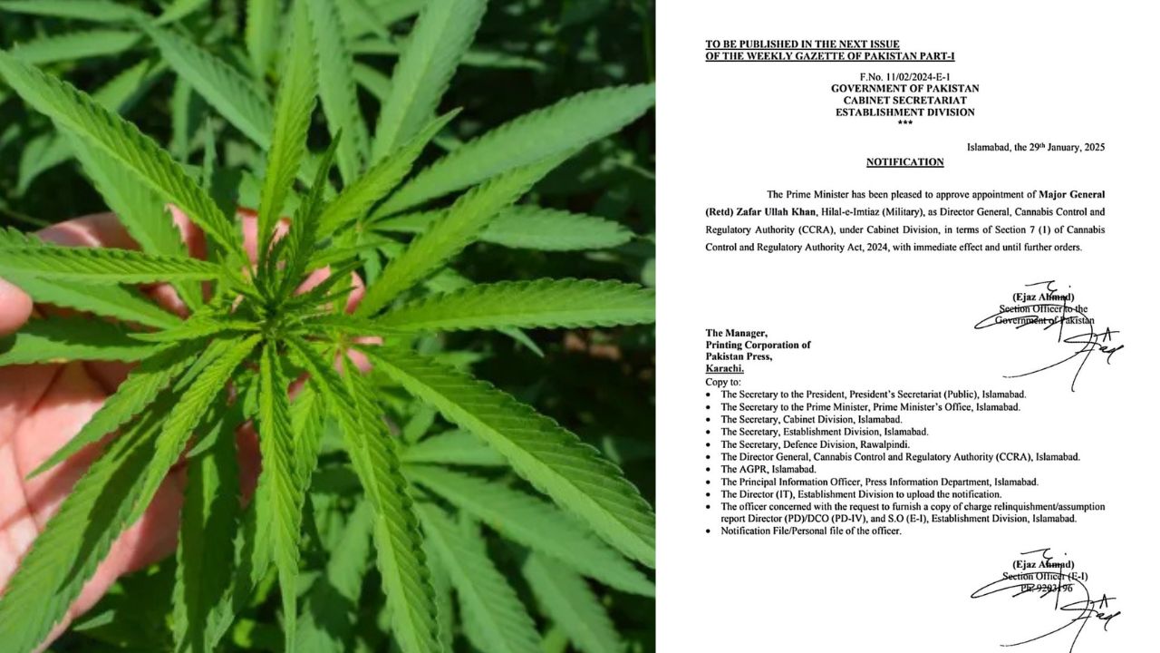 Maj Gen (r) Zafar Ullah appointed chief of cannabis control authority