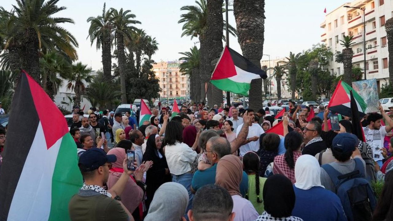 Egypt detains over 200 pro-Palestine activists ahead of Gaza march: organiser