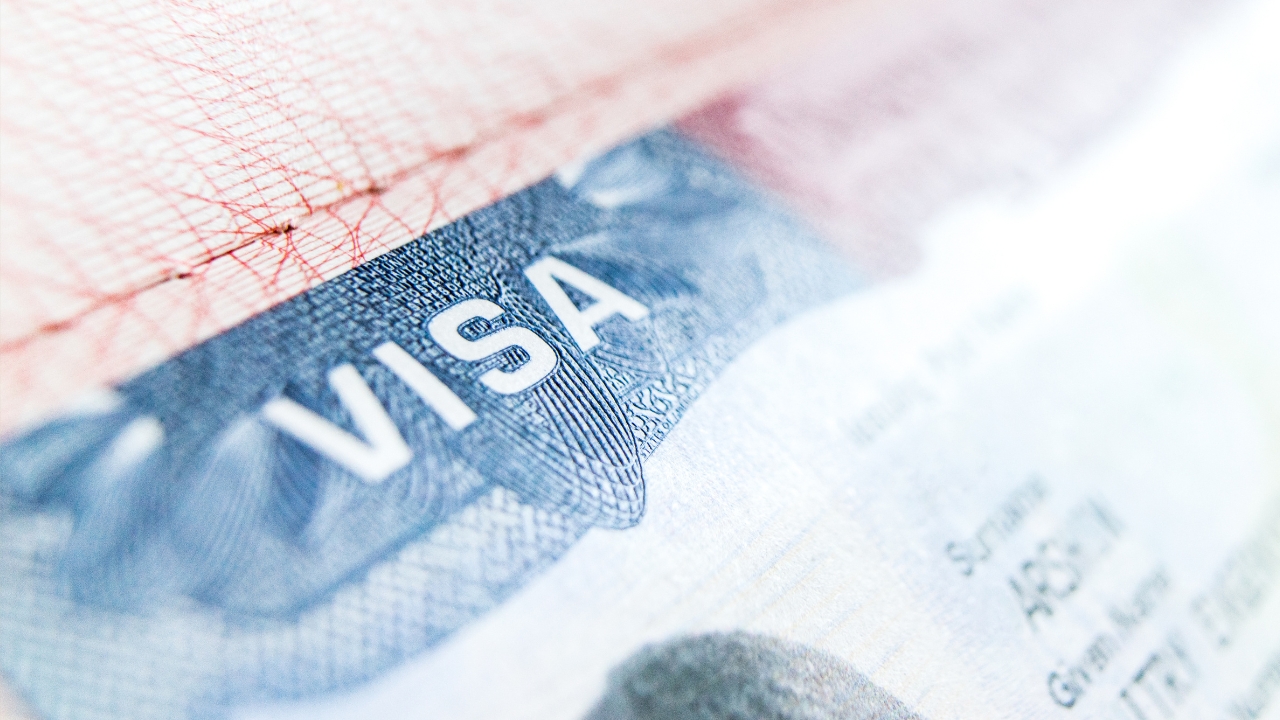 Brain drain costing economy $4.2 billion a year despite growing remittances