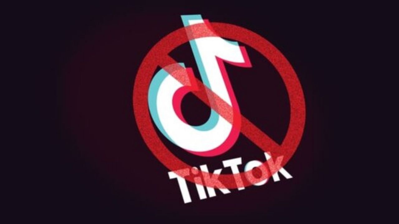 Resolution in Punjab Assembly calls on federal govt to ban TikTok