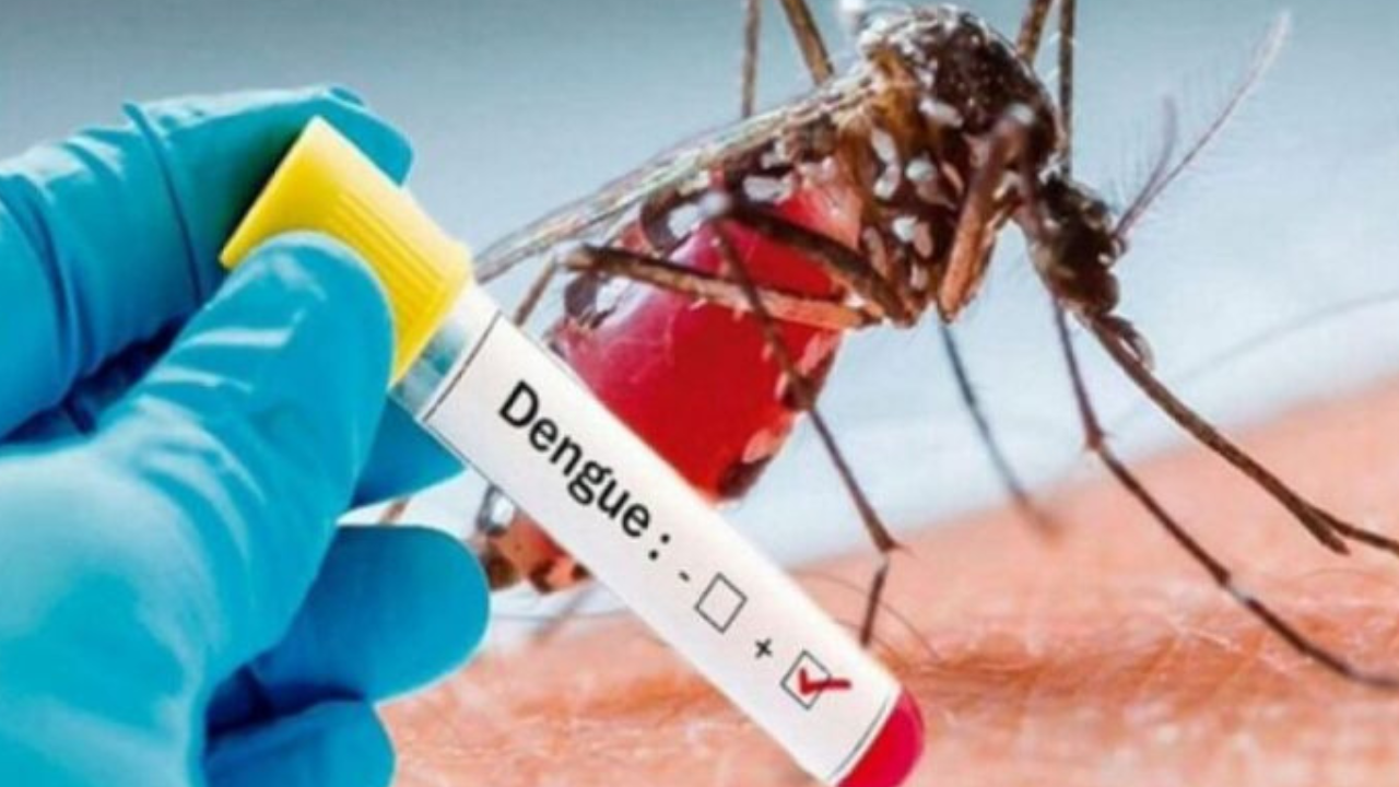 Govt scrambles response as Islamabad reports 52 dengue cases in a day