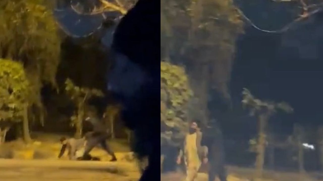 Dolphin Squad personnel suspended after assaulting couple in Islamabad