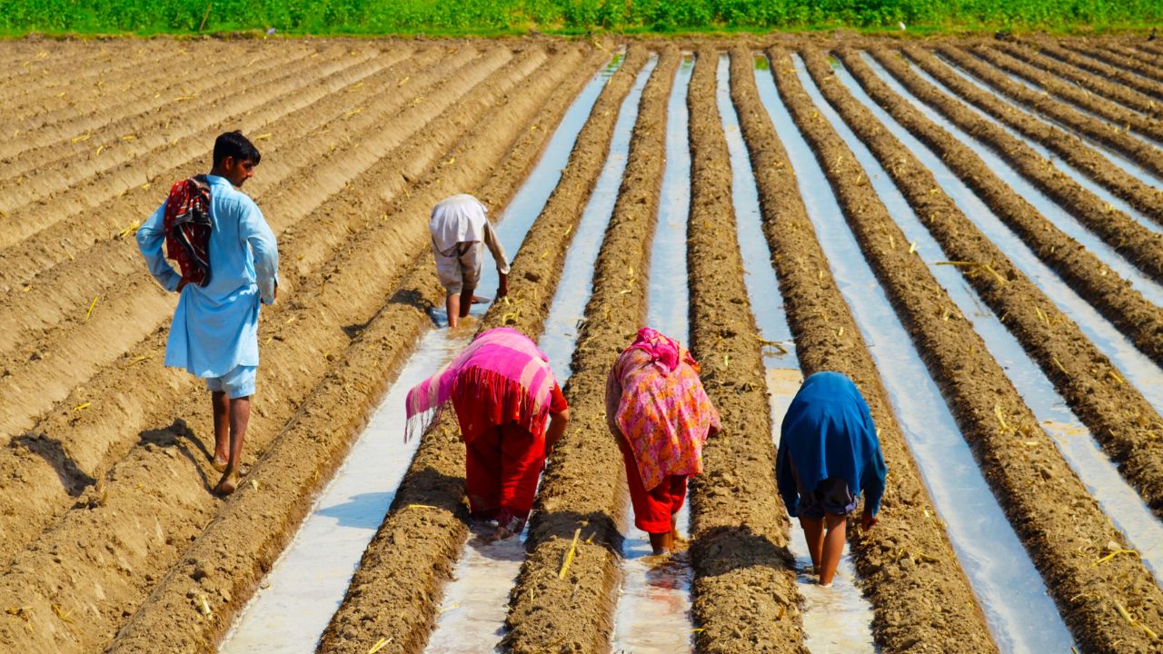 Punjab govt to provide free state land for farming